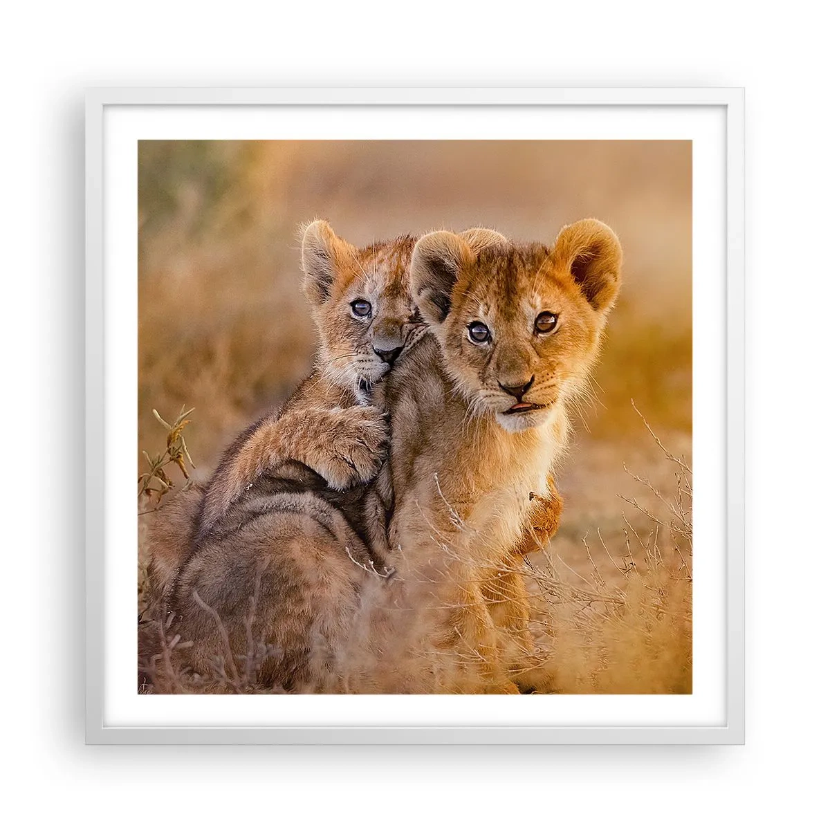 Plakát v bílém rámu - Nevyrušovat! Hrajme si - 60x60 cm