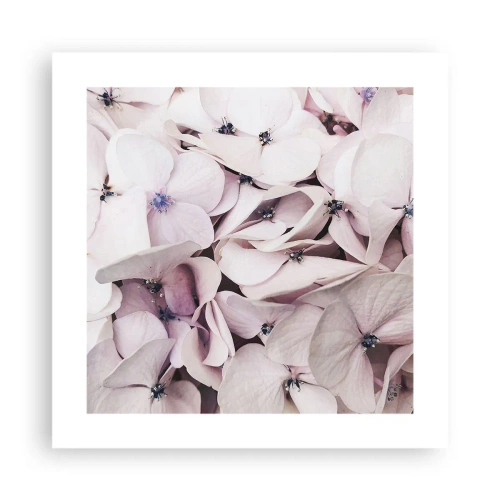 Plakát - V záplavě květin - 40x40 cm