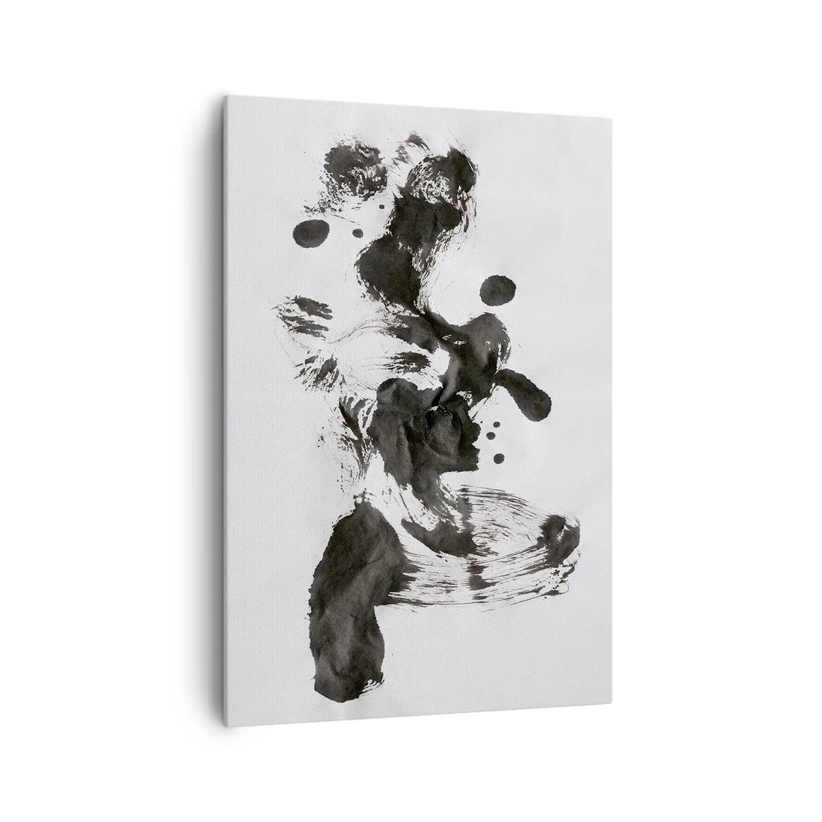 Obraz na plátně - Metoda v šílenství? - 70x100 cm