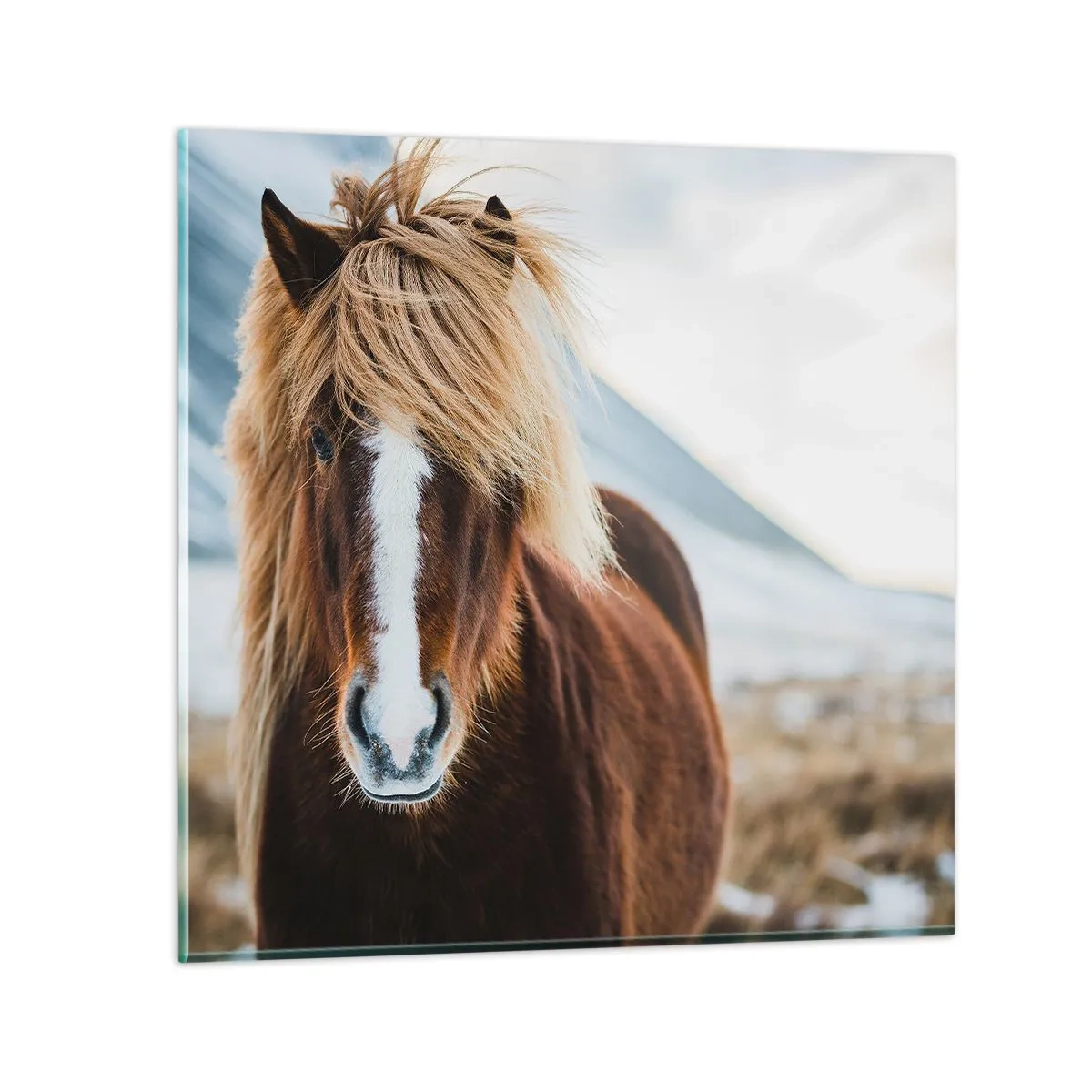 Obraz na skle - Cítíš svobodu? - 70x70 cm