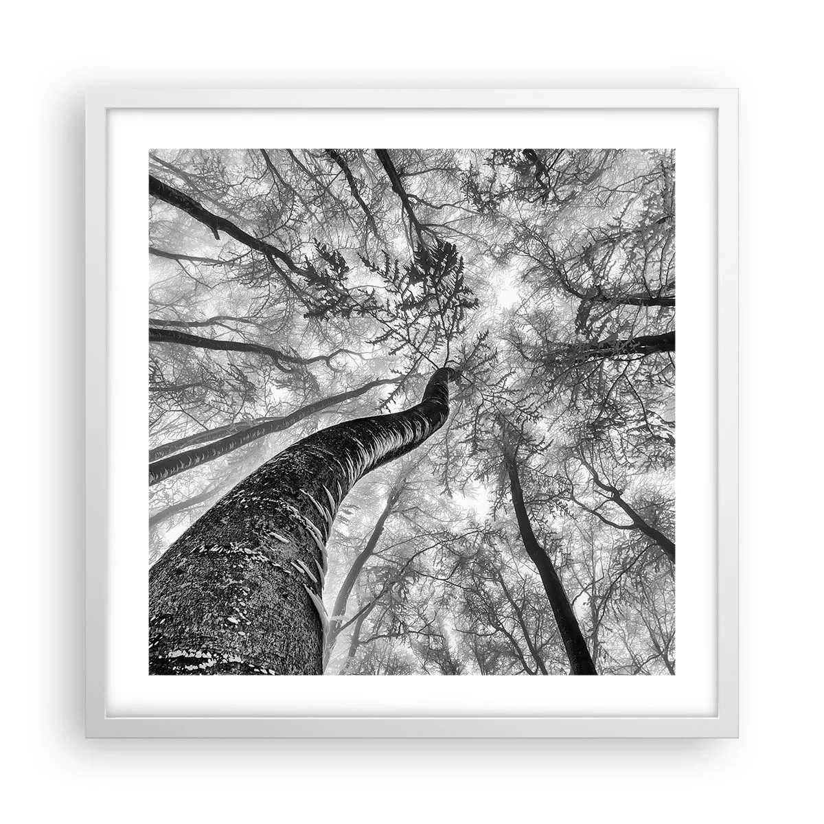 Plakát v bílém rámu - Závod ke světlu - 50x50 cm