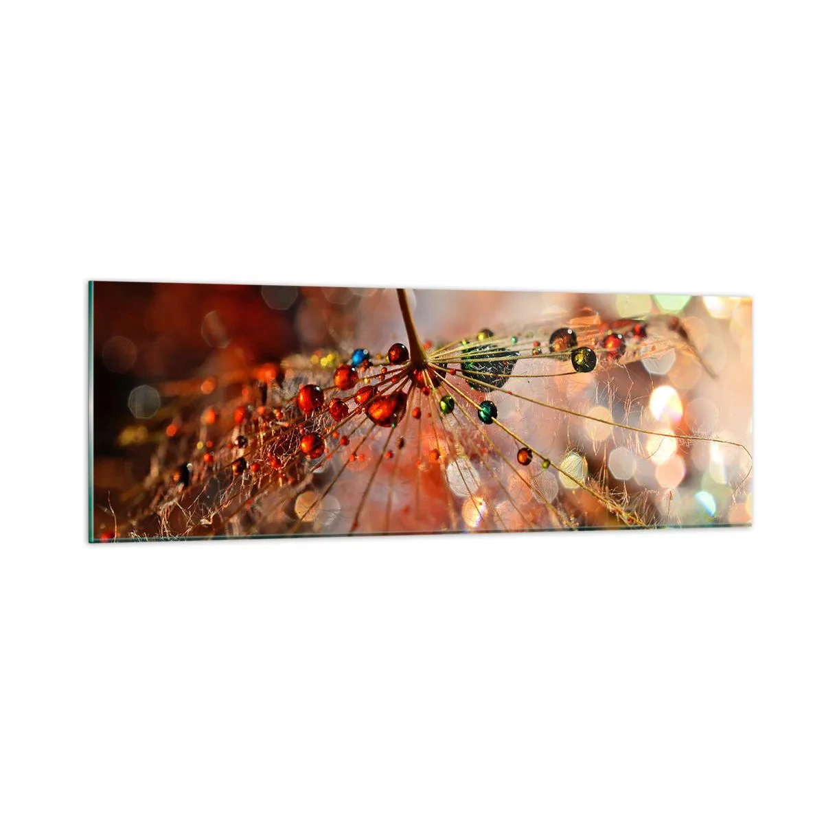 Obraz na skle - Navlečeno na pavučinu - 90x30 cm