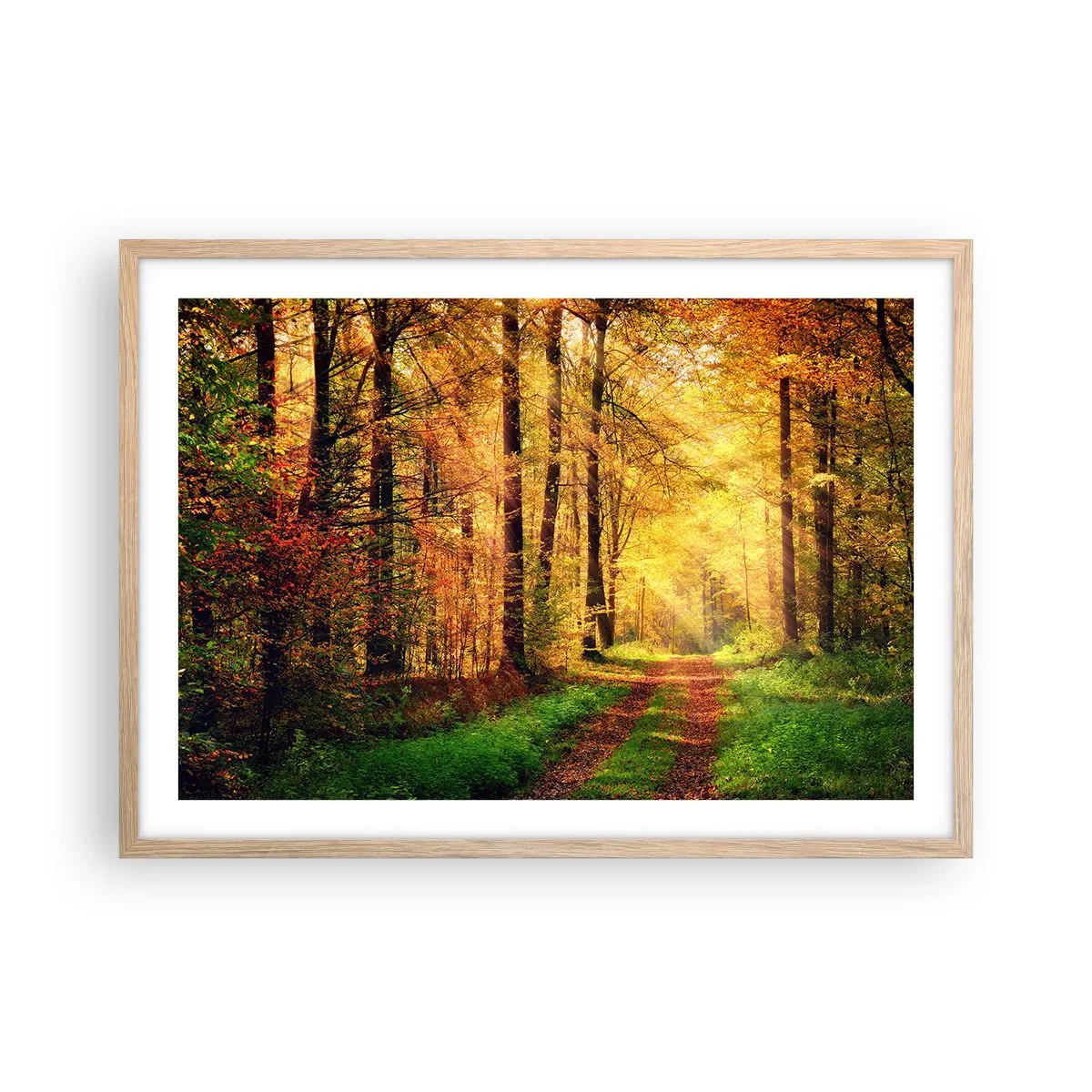 Plakát v rámu světlý dub - Lesně-zlaté ticho - 70x50 cm