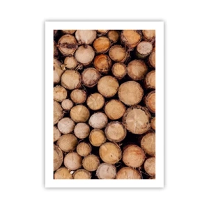 Plakát - Nový začátek - 50x70 cm