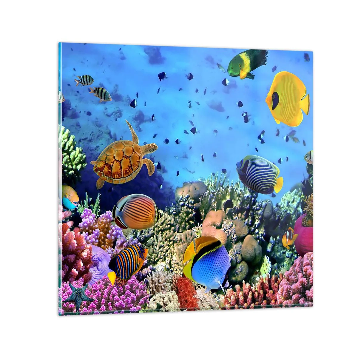 Obraz na skle - Co víme o životě… - 70x70 cm