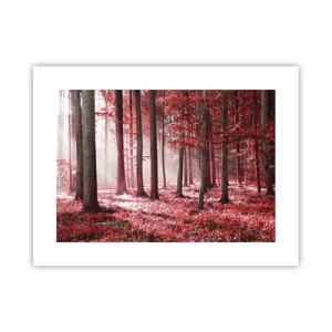 Plakát - Červená je stejně krásná - 40x30 cm