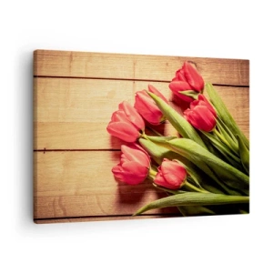 Obraz na plátně - Kytice růžových tulipánů na dřevěném pozadí - 70x50cm - Jarní vyznání - Moderní nástěnná dekorace do obývacího pokoje a ložnice ARTTOR