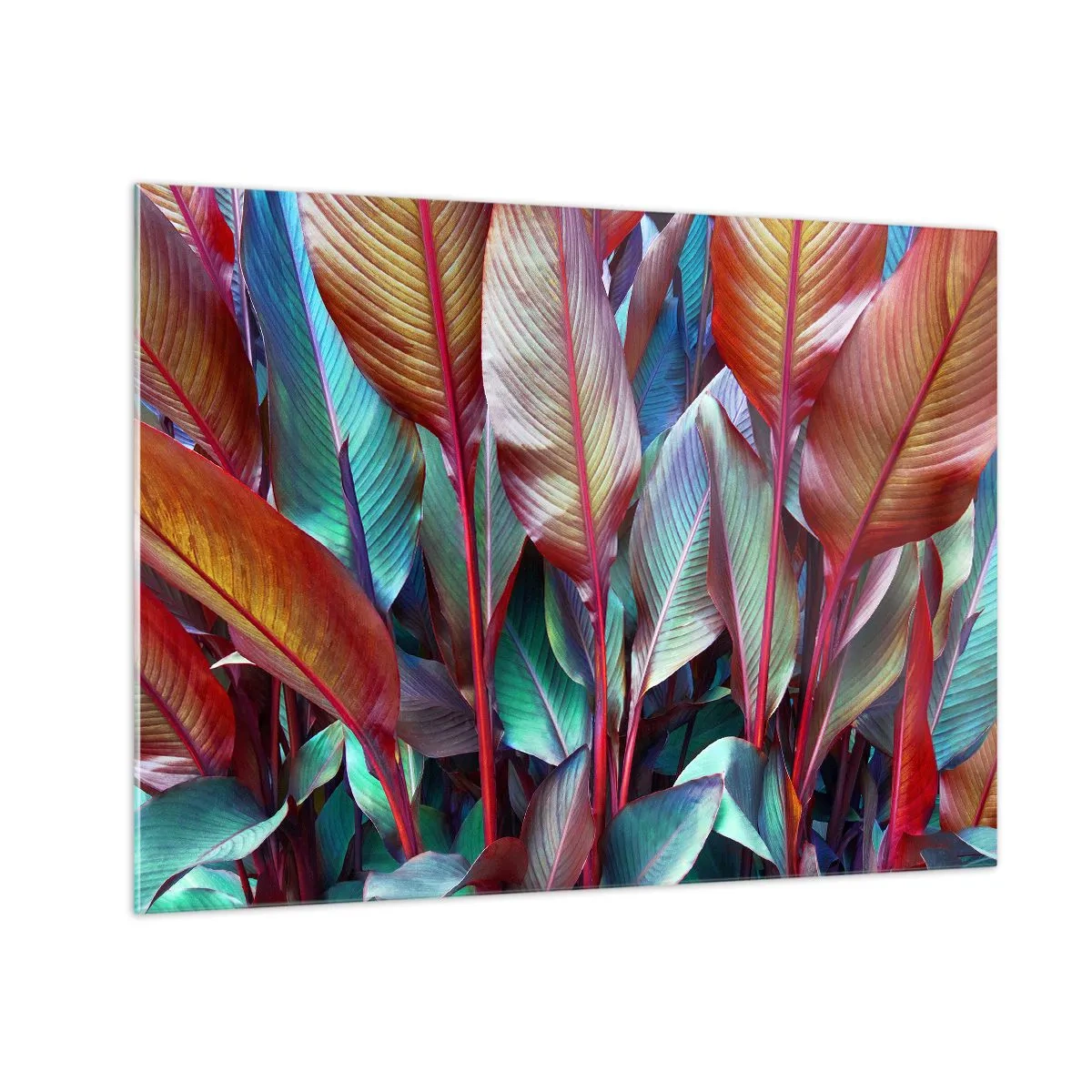 Obraz na skle - Barevná houština listí v odstínech červené, zelené a fialové - 70x50cm - Barevná houština - Moderní nástěnná dekorace do obývacího pokoje a ložnice ARTTOR