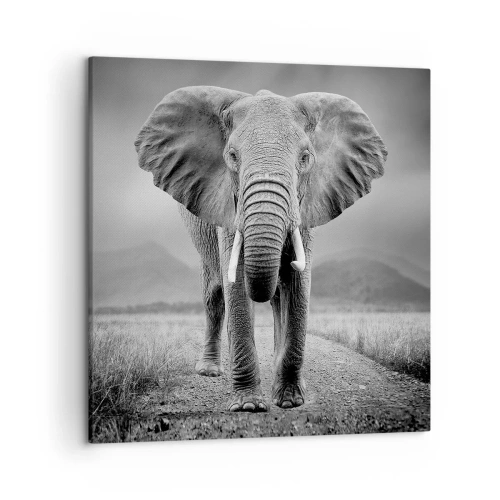 Obraz na plátně - Hostitel vítá - 50x50 cm