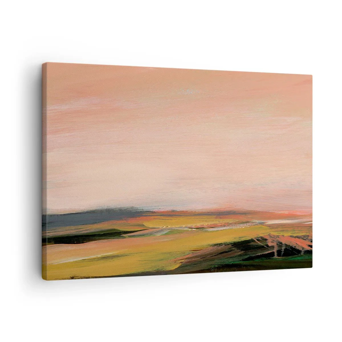 Obraz na plátně - V růžových tónech - 70x50 cm