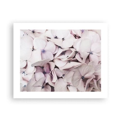 Plakát - V záplavě květin - 50x40 cm