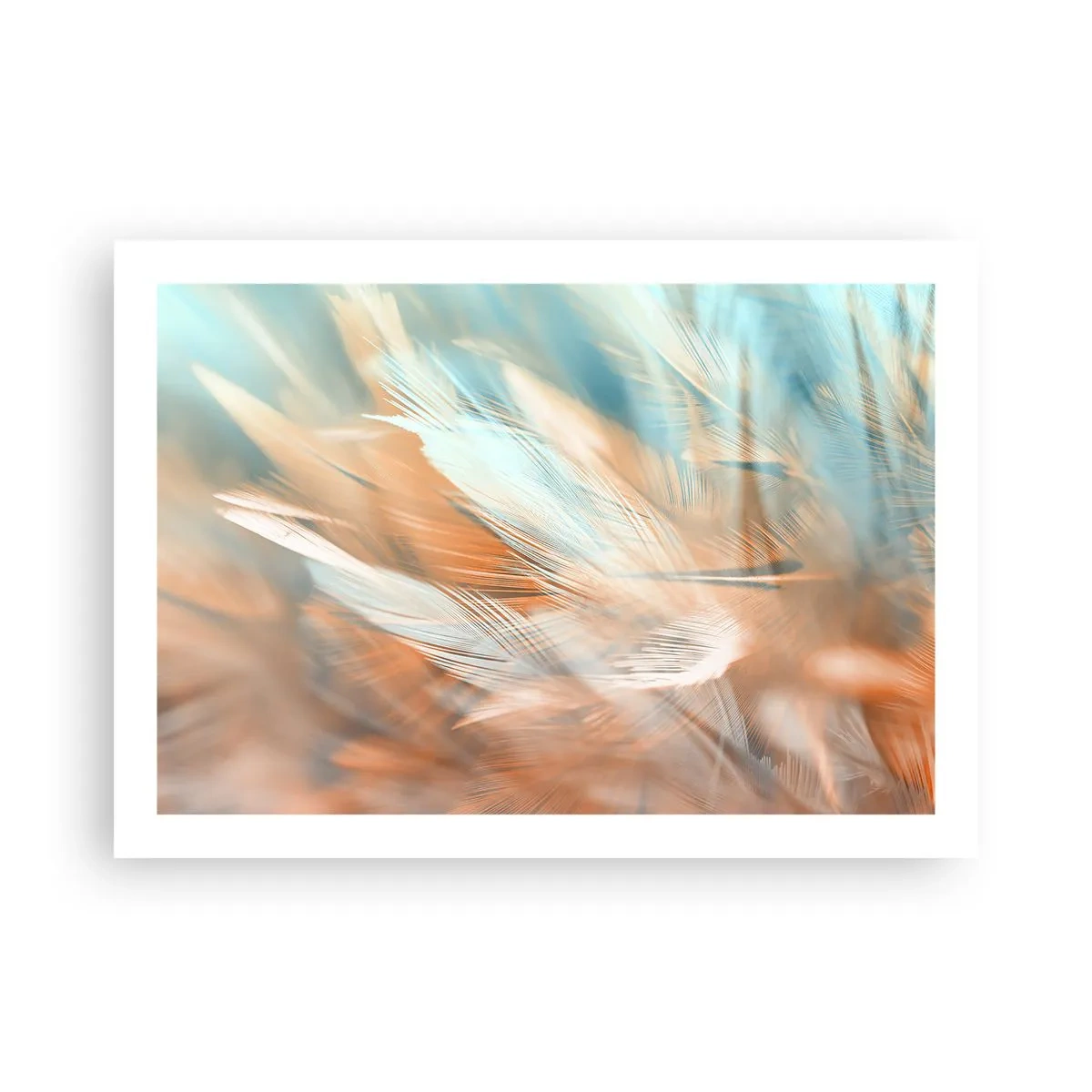 Plakát - V krajině něhy - 70x50 cm