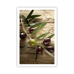 Plakát - Přímo od přírody - 61x91 cm