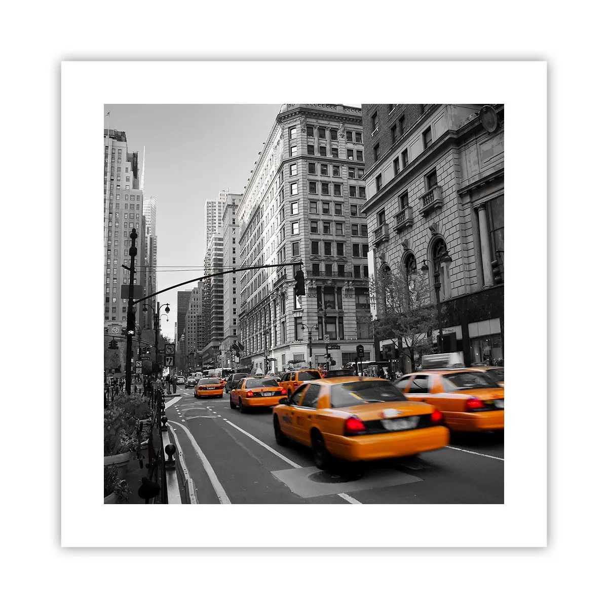 Plakát - Slunce velkoměsta - 40x40 cm