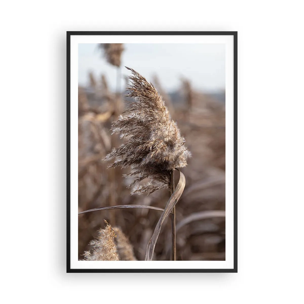 Plakát v černém rámu - Čas odletět s větrem - 70x100 cm