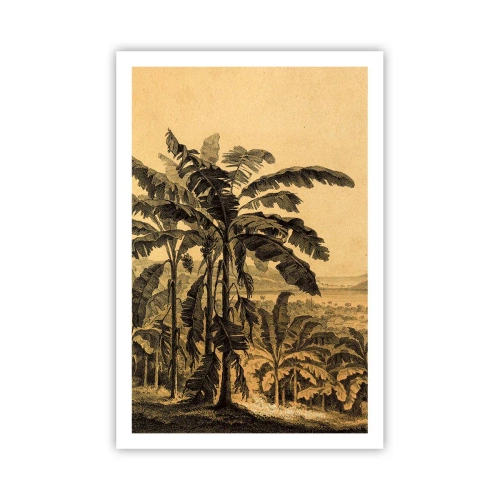 Plakát - V koloniálním stylu - 61x91 cm