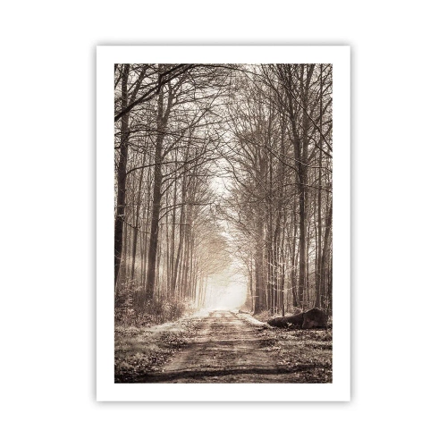 Plakát - Lesní katedrála - 50x70 cm