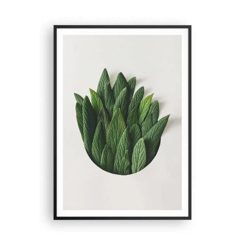 Plakát v černém rámu - Neukojitelná zvědavost - 70x100 cm