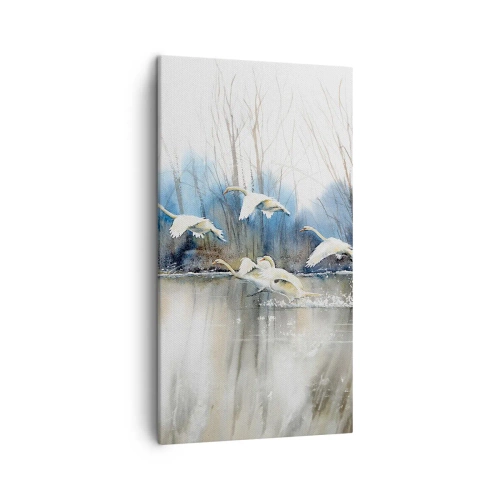 Obraz na plátně - Jako v povídce o divokých labutích - 45x80 cm
