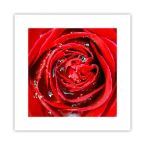 Plakát - V kapkách rosy - 30x30 cm