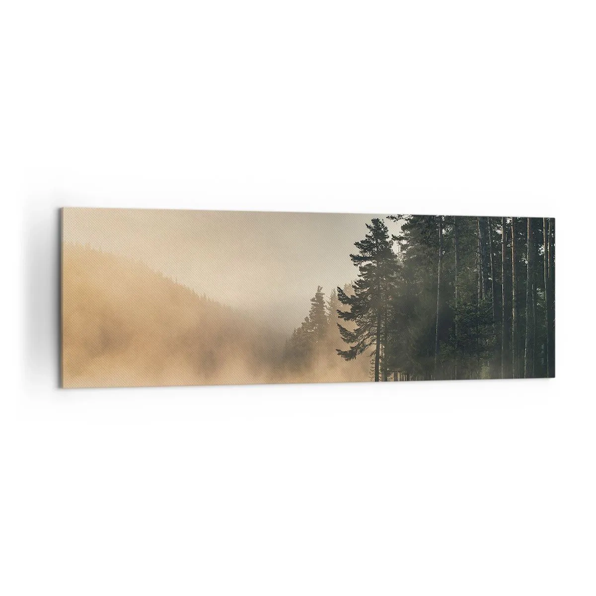 Obraz na plátně - Zrození dne - 160x50 cm