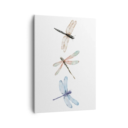 Obraz na plátně - Beztížné vážky - 50x70 cm