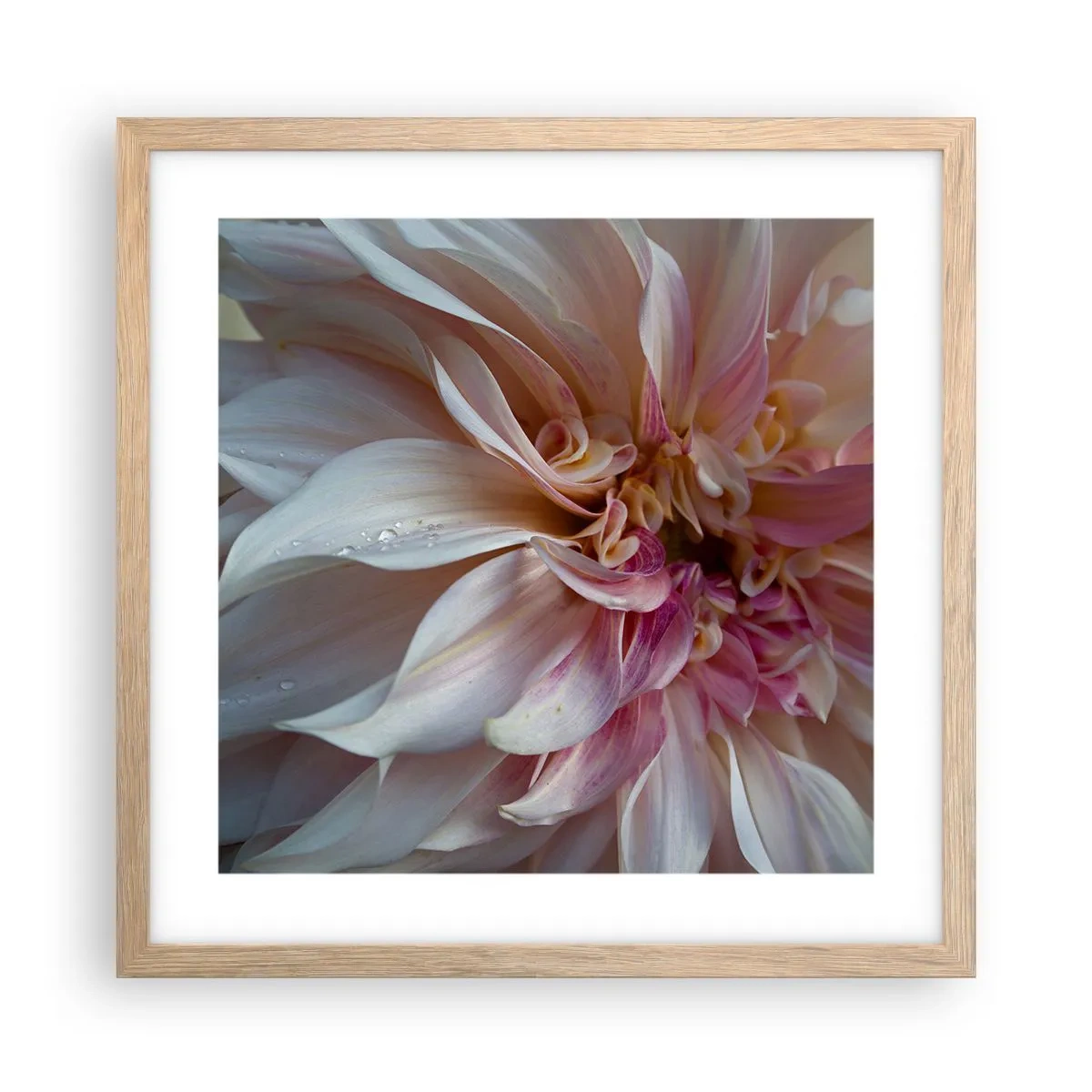 Plakát v rámu světlý dub - Kvetoucí svěžest - 40x40 cm