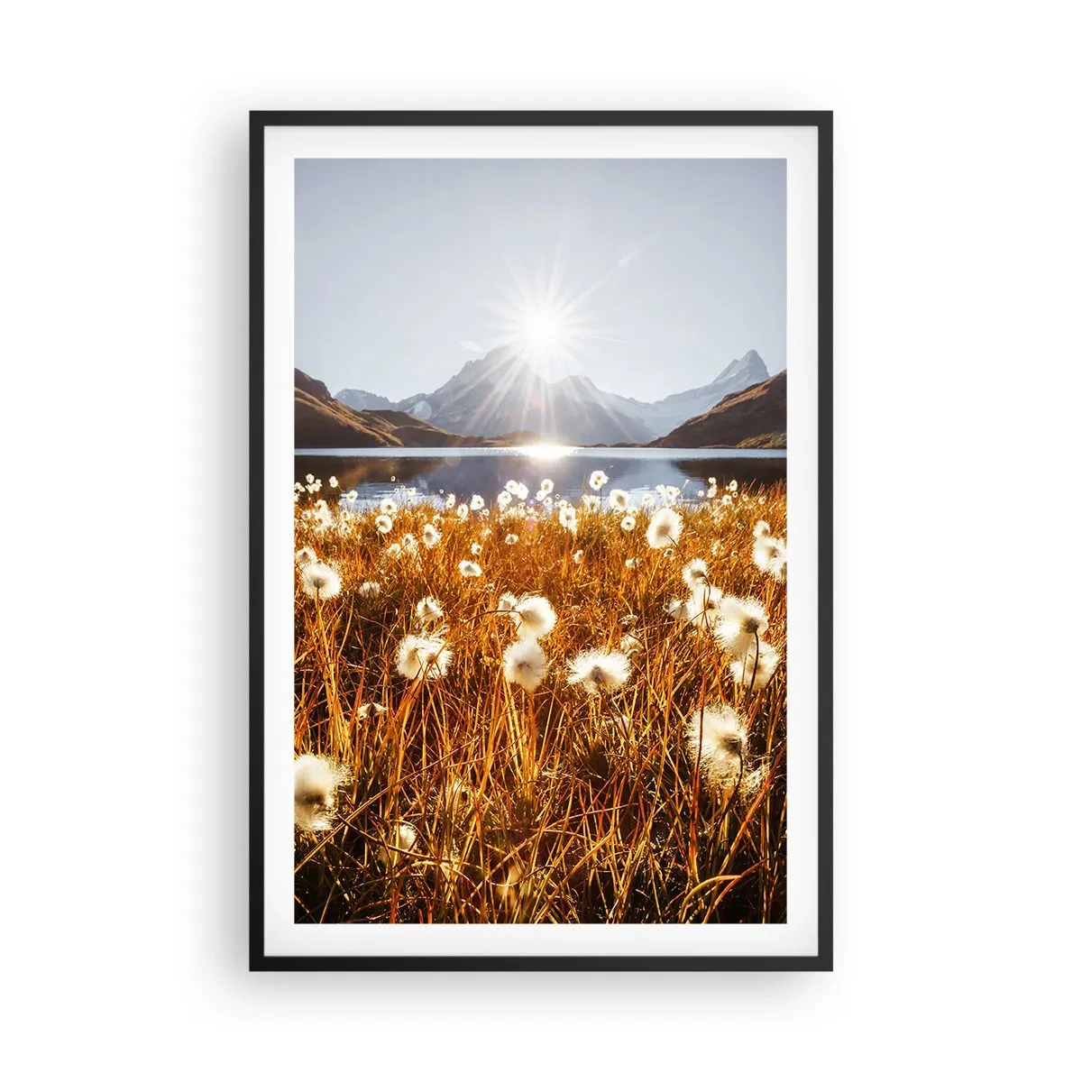 Plakát v černém rámu - Tvrdost skal, měkkost trav - 61x91 cm