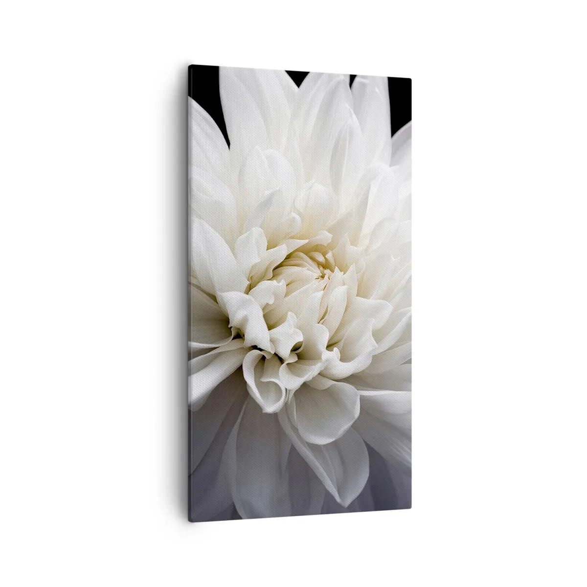 Obraz na plátně - Dopoledne s nevěstou - 55x100 cm