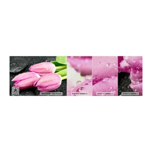 Vzor Fototapety Premium Canvas - Liliová trojice na černém kameni - Květiny, tulipány, Kytice květin - 100x30 cm