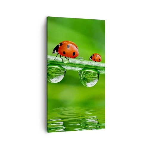 Obraz na plátně - Na cestách celé léto - 45x80 cm