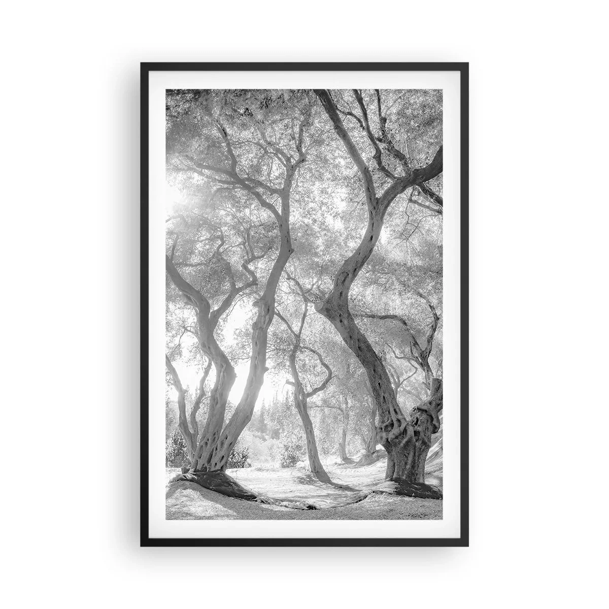 Plakát v černém rámu - V olivovém háji - 61x91 cm