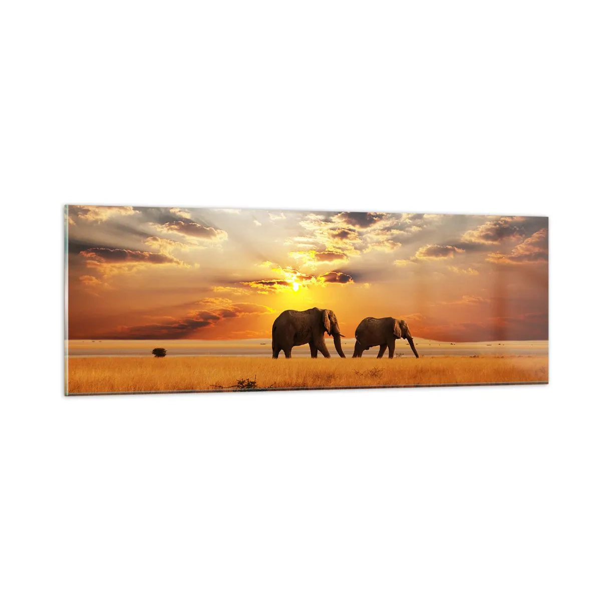 Obraz na skle - Rodinná procházka - 90x30 cm