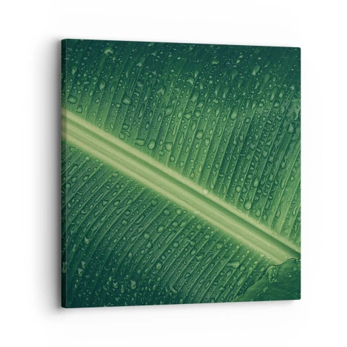 Obraz na plátně - Struktura zelené - 30x30 cm