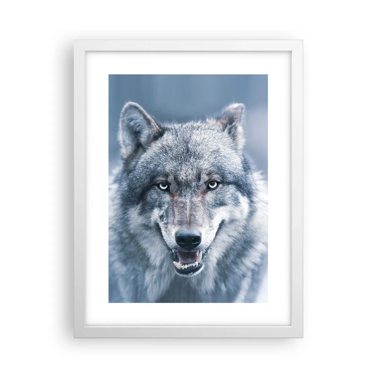 Plakát v bílém rámu - Přijmete tuto výzvu? - 30x40 cm