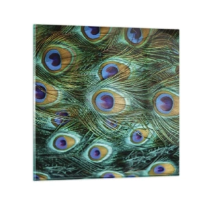 Obraz na skle - Paví pohled - 30x30 cm