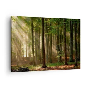 Obraz na plátně - Sluneční paprsky pronikající skrz stromy v lese - 70x50cm - Rozzářený v jarním ránu - Moderní nástěnná dekorace do obývacího pokoje a ložnice ARTTOR
