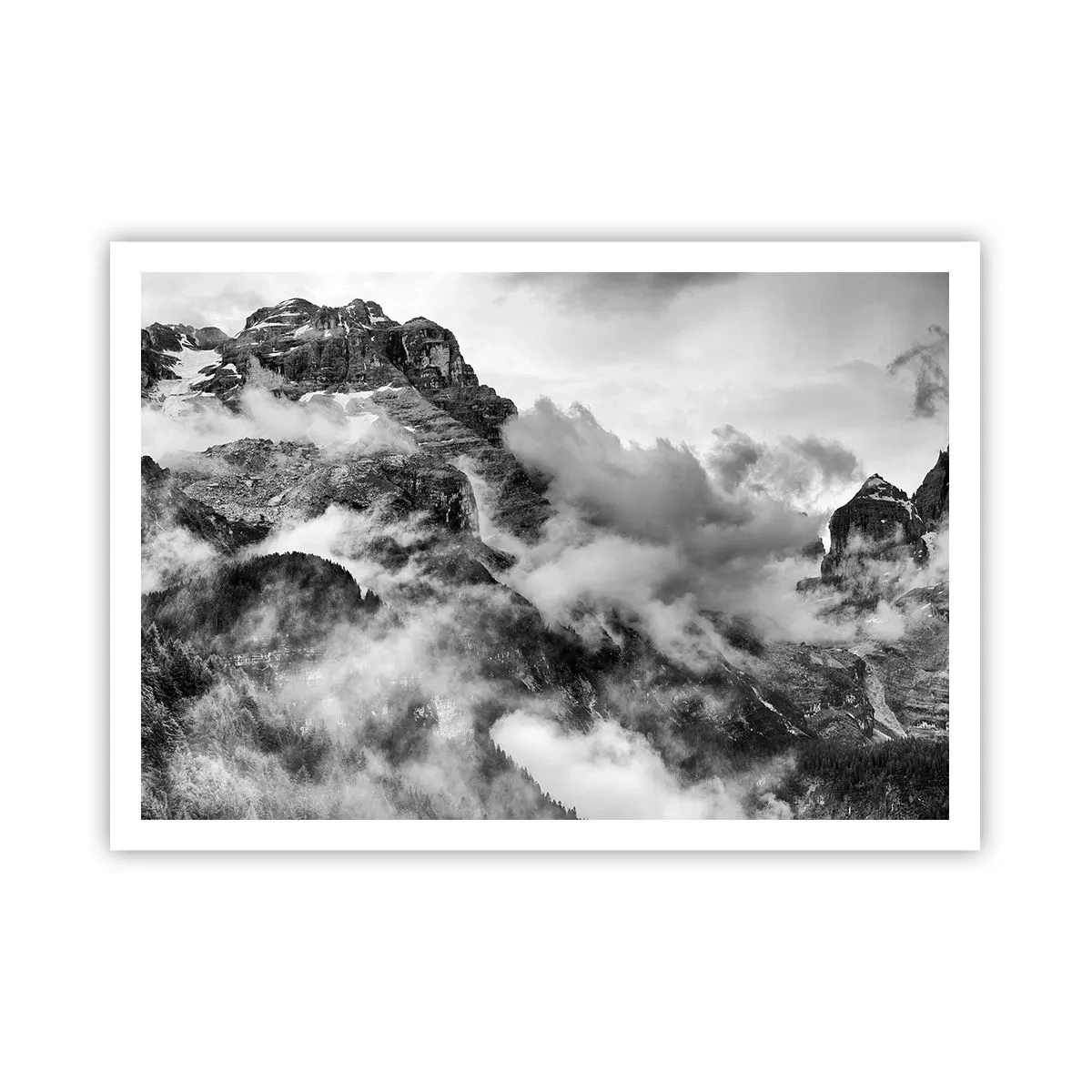 Plakát - Krásné a kruté - 100x70 cm