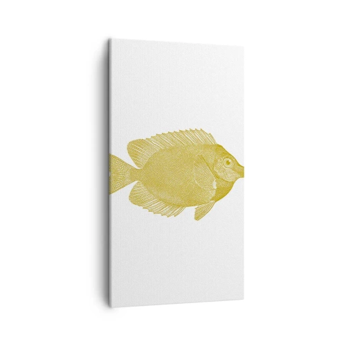Obraz na plátně - Prostě ryba - 45x80 cm