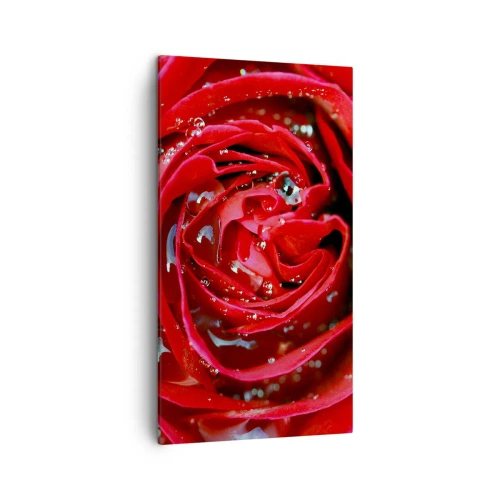 Obraz na plátně - V kapkách rosy - 45x80 cm