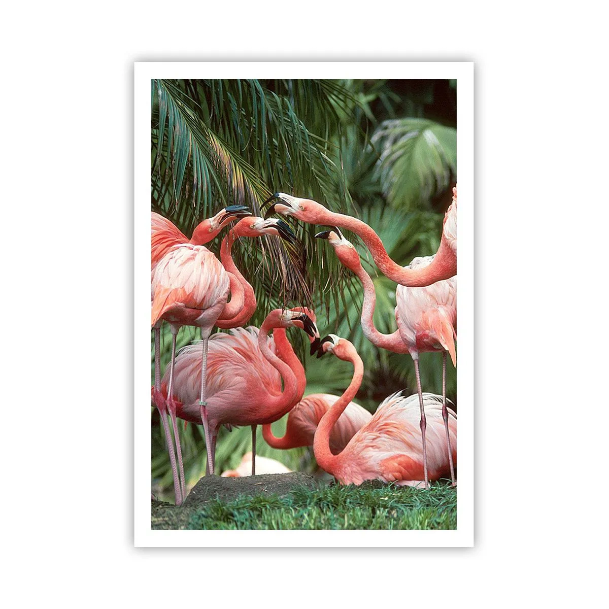 Plakát - Odpolední drby - 70x100 cm