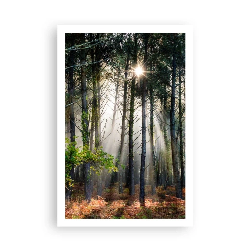 Plakát - Lesní divočina - 61x91 cm