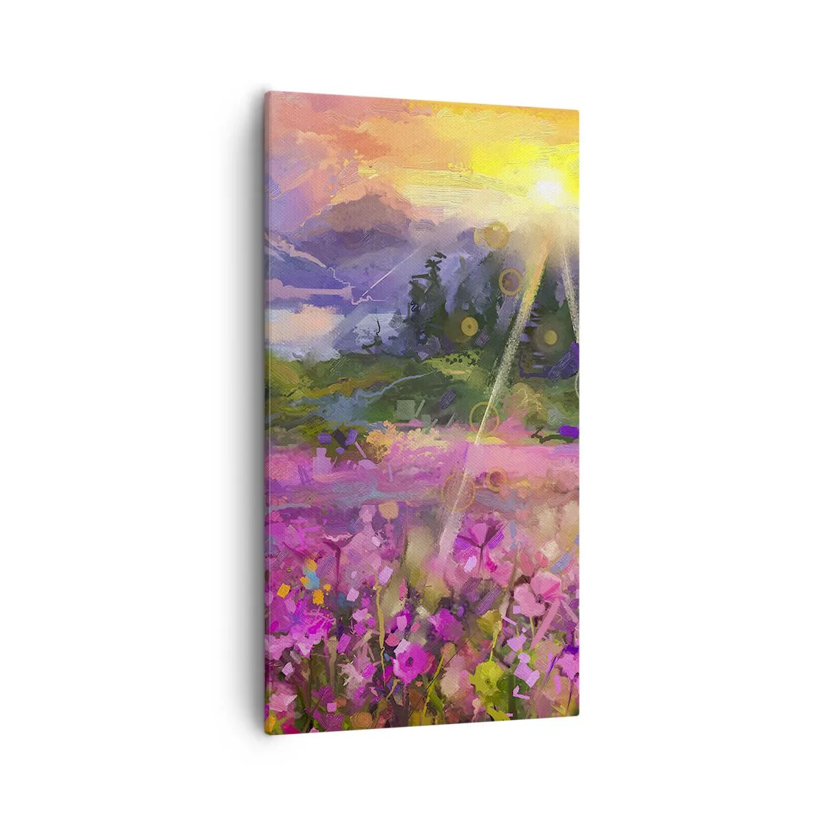 Obraz na plátně - V údolí v péči slunce - 55x100 cm