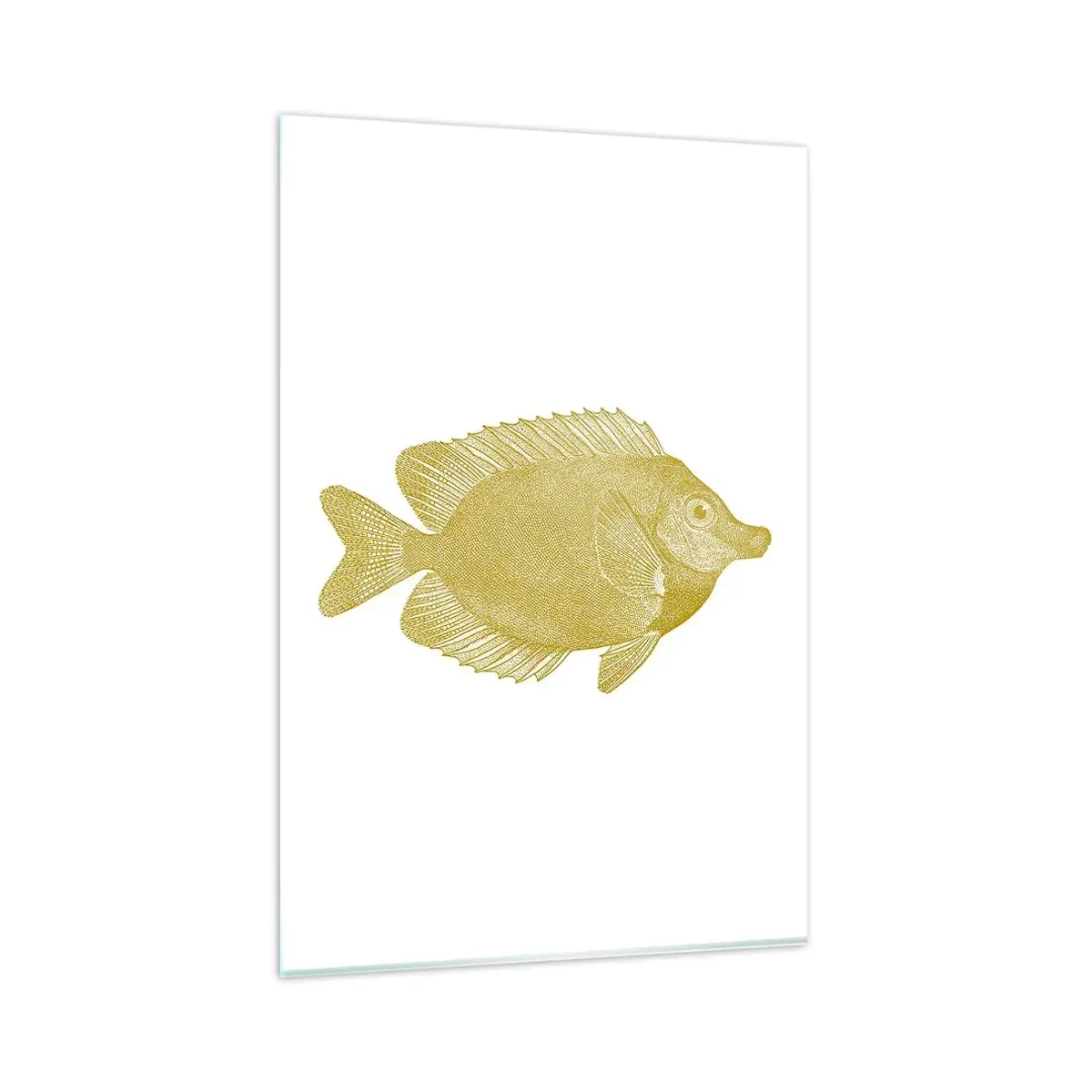 Obraz na skle - Prostě ryba - 80x120 cm