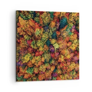 Obraz na plátně - Kytice podzimních stromů - 50x50 cm