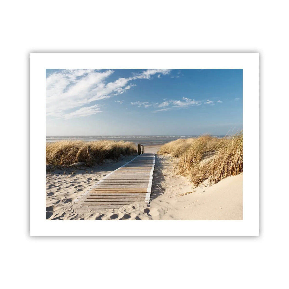 Plakát - Za dunou, v šumění trávy - 50x40 cm