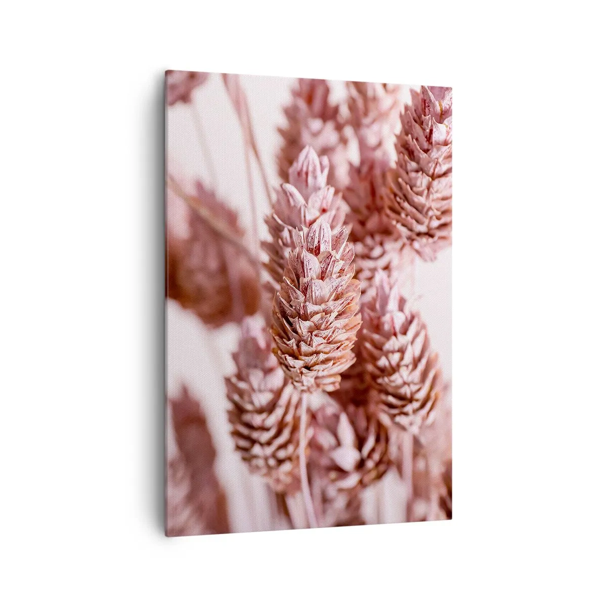 Obraz na plátně - Zdánlivě nenápadné - 70x100 cm