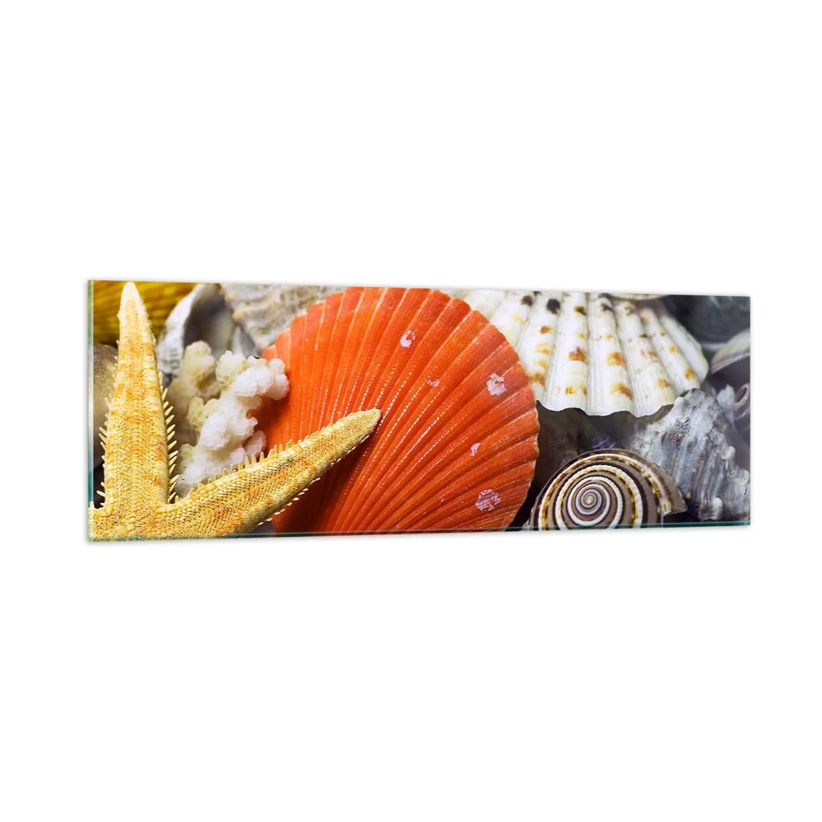 Obraz na skle - Poklady oceánu - 90x30 cm
