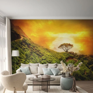 Fototapeta Premium Sand - Klikatou stezkou, zeleným úbočím - Krajina, Čajová plantáž, Indie - 100x70 cm
