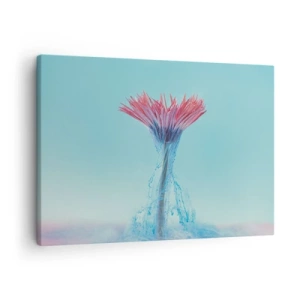 Obraz na plátně - Růžový a modrý květ v uměleckém aranžmá na pastelovém pozadí - 70x50cm - V osvěžujícím objetí - Moderní nástěnná dekorace do obývacího pokoje a ložnice ARTTOR